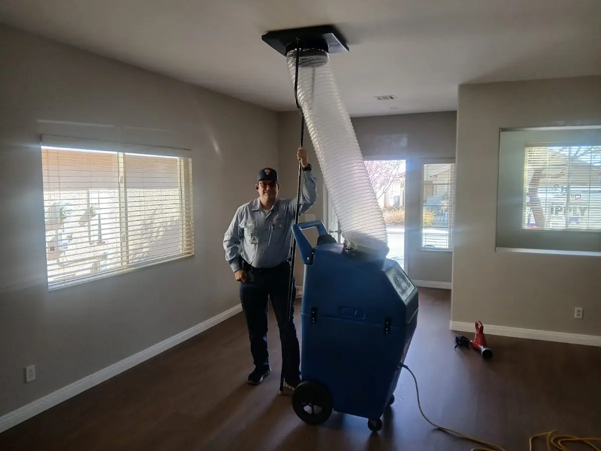 Professional Dryer Vent Cleaning work inside a Deer Park home